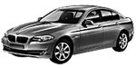 BMW F10 P293D Fault Code
